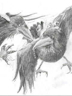 Odens korpar, Hugin och Munin