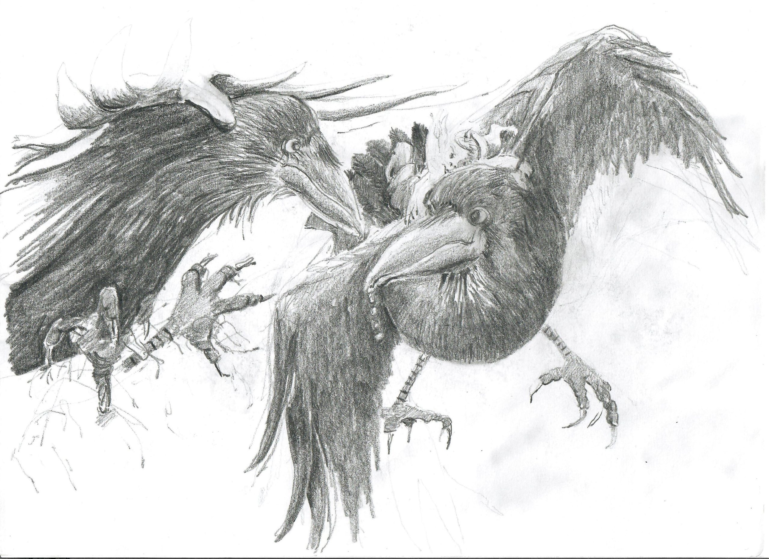 Odens korpar, Hugin och Munin