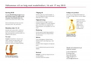 Öppen modellmålerihelg 16-17 maj i Falun, 2015